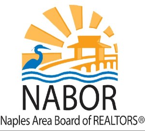 NABOR New logo